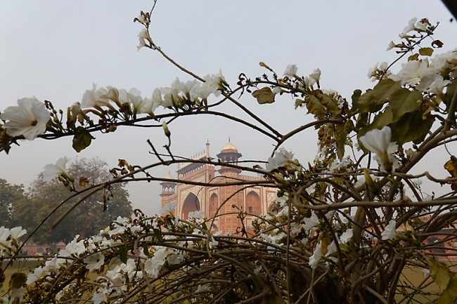 Agra-Taj mahal-129